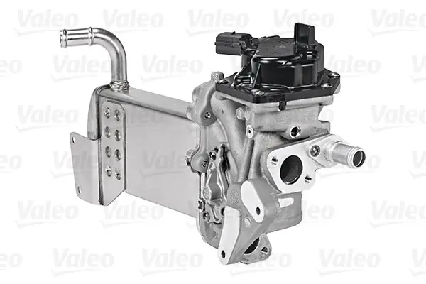 Nie przegap Zawór egr VALEO 700438 03L131512AR